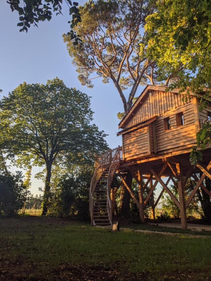 Chateau Des Fousseries Condom Exterior foto